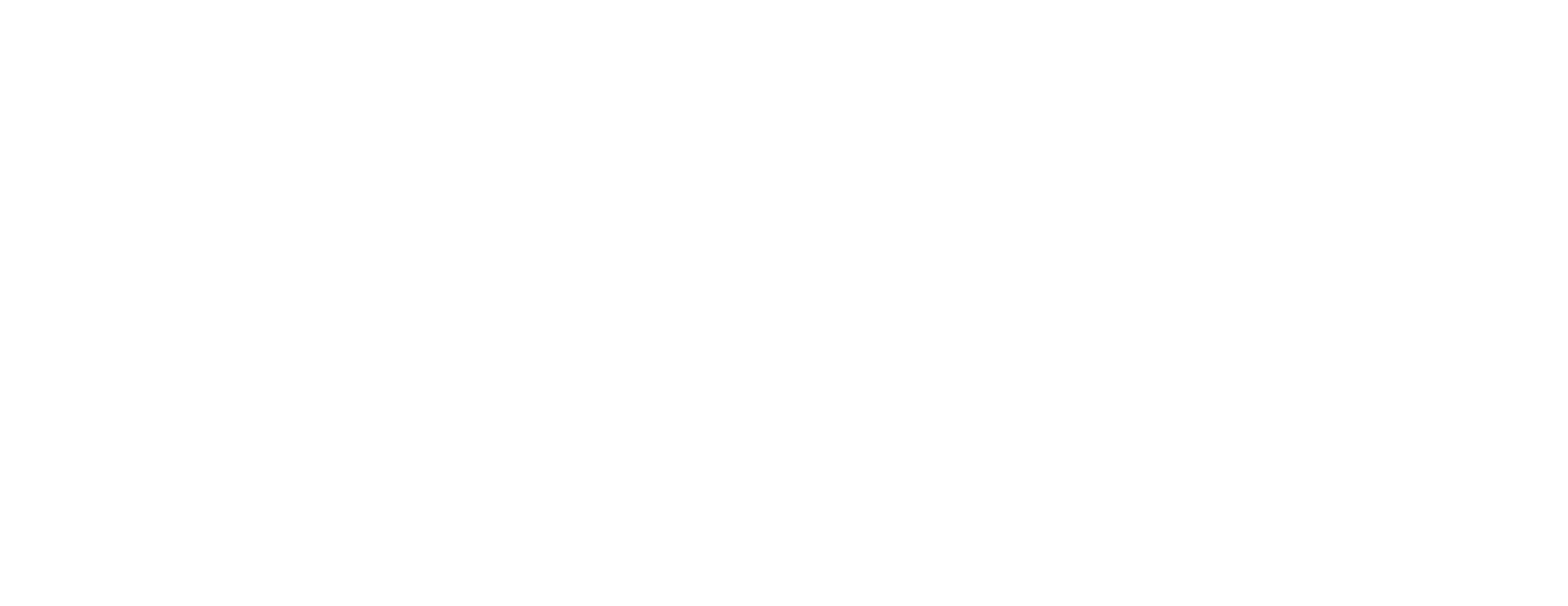 Fortis Financial Partners