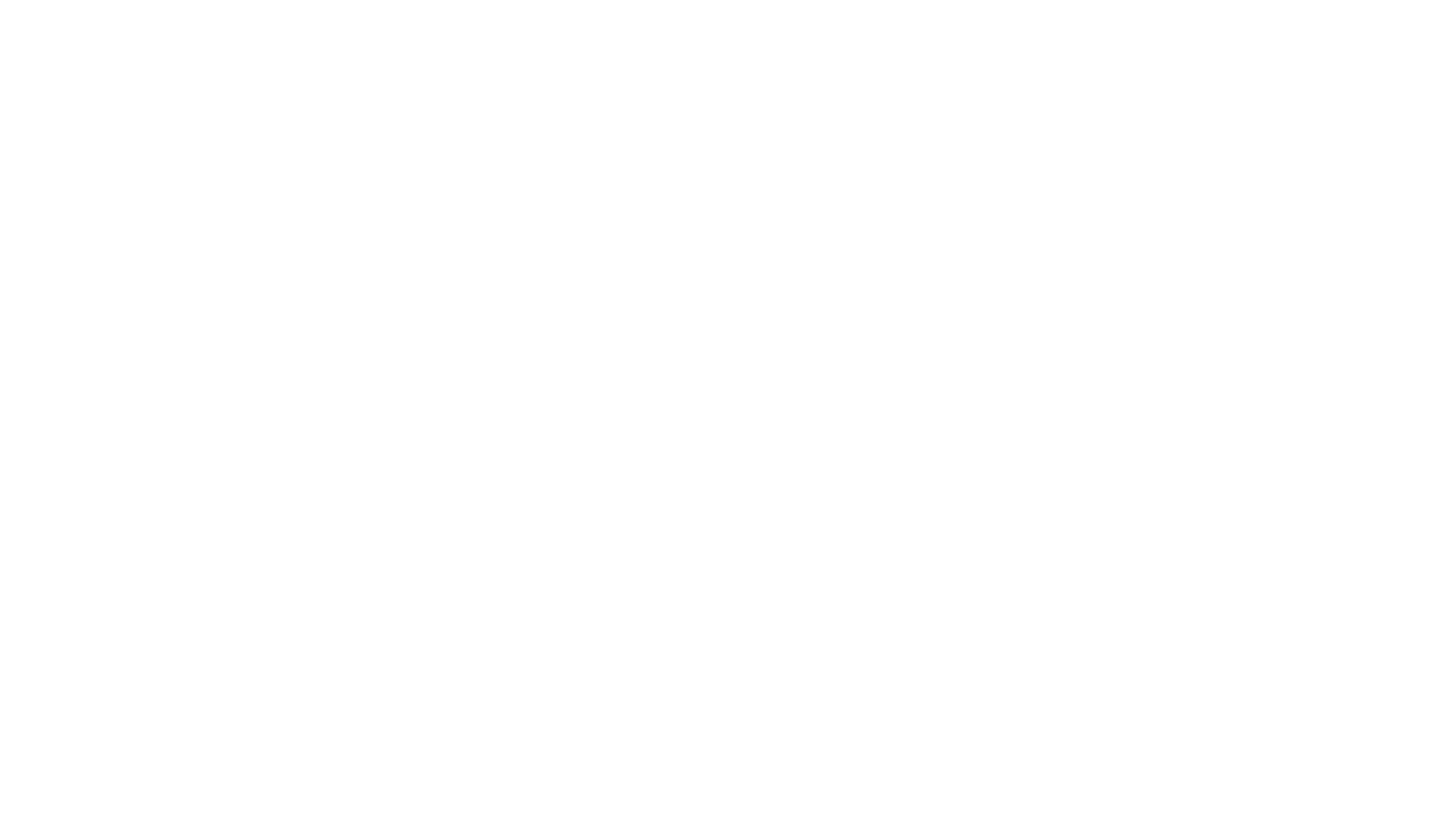 Lotus Bridge Wealth Mangement